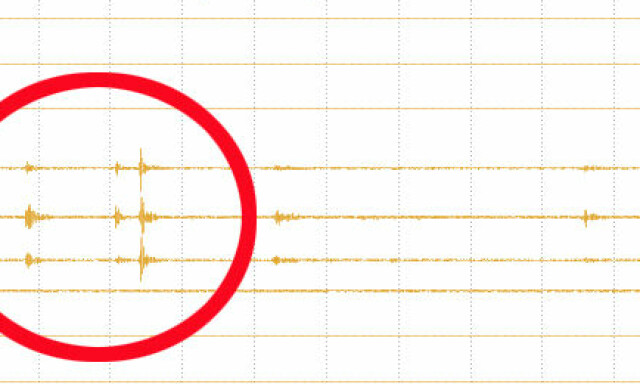 Data avslører hvordan tsunamien startet: Jordskjelv på styrke 4,9 utløste tsunamien